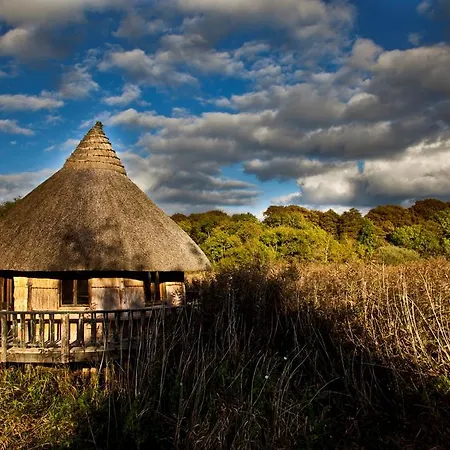 Lodge Glasson Lakeshore Cabins *